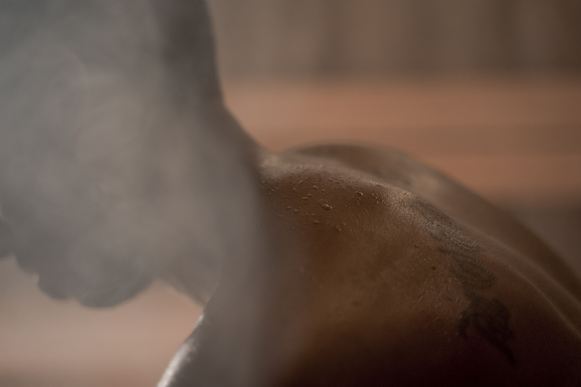 Steam Saunas detail